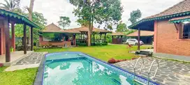 Rumah Joglo Luas 1000 Meter Kolam Renang Sejuk Palagan Turi