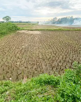 Tanah lebar muka 40 bentuk kotak hadap timur di Legok