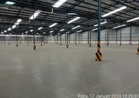 Di Sewakan Gudang tipar cakung