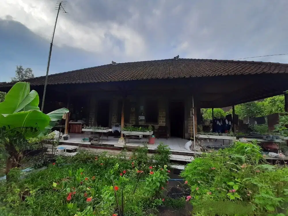 DIJUAL CEPAT TANAH DENGAN BANGUNAN COCOK UNTUK VILLA DI PENEBEL BALI