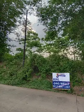 D jual tanah d parung panjang