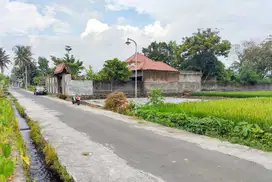Tanah Jalan Kaliurang Lingkungan Sawah Jalan Bagus 850 Meteran