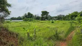 DIJUAL CEPAT LAHAN KAWASAN DESA KEMIRI TANGERANG