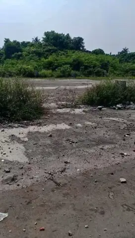 D jual tanah d cikupa tangerang