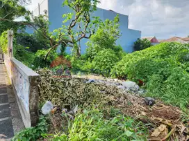Tanah Lokasi Blimbing Dekat Kantor Pemerintahan Cocok untuk Usaha