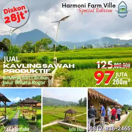 Kavling Sawah Produktif View Indah Panen Melimpah Bogor Timur