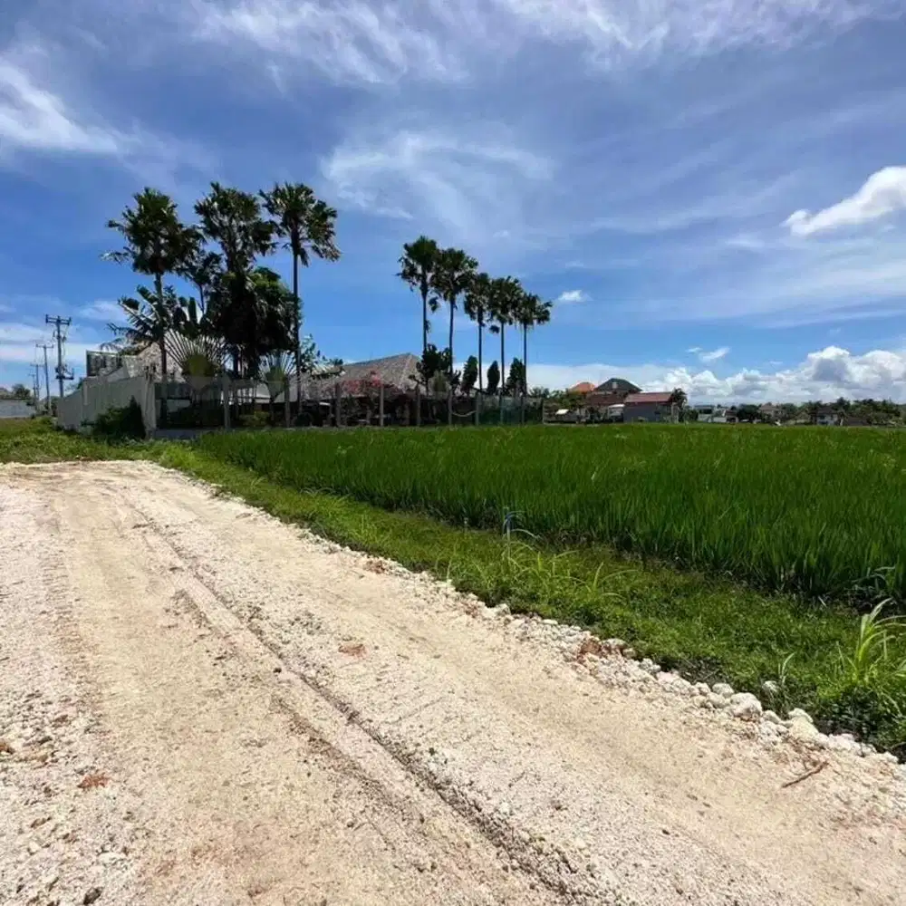 Dijual tanah di Umealas Kerobokan Kuta dekat Canggu