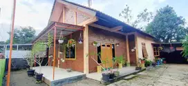 Rumah Tanah Luas 300 Utara Maguwo Pedesaan Asri