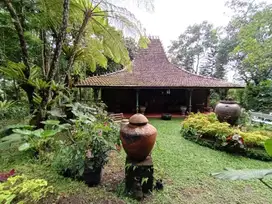 Tanah Kawasan Villa Dekat Ullen Sentalu