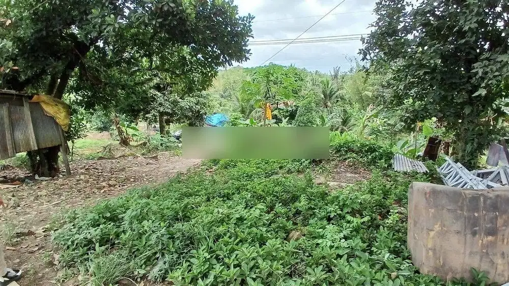 TANAH/LAHAN PINGGIR JALAN POROS JL. SOEKARNO - HATTA KM 12