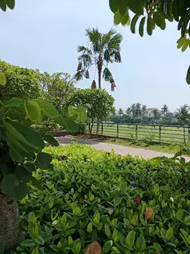 D jual tanah d pergudangan 19