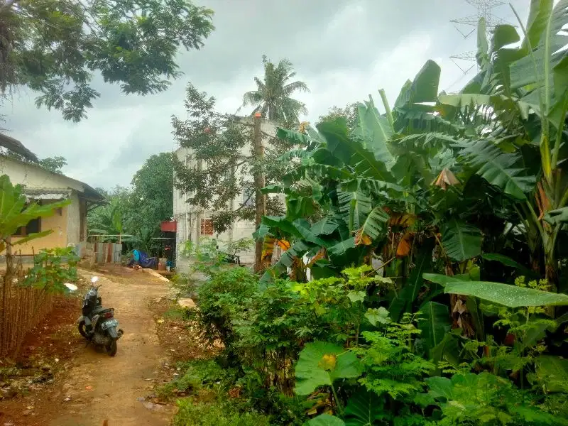 jual murah tanah Empang 300 M2 di grogol depok Jalan Benda