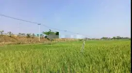DIJUAL CEPAT TANAH di Desa Kertawinagun, Kec.Kertajati Kab majalengka