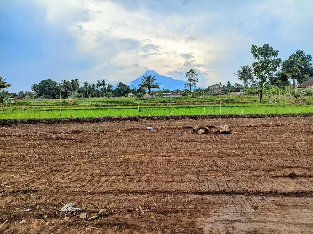SHM Cantik Utara Jejamuran View Sawah dan Gunung