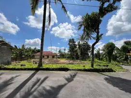 Utara UII Jogja; Cocok Bangun Kost