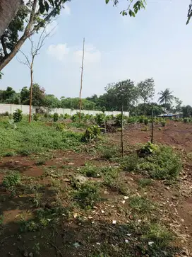 Dijual Tanah Luas 5160 M Di Cisauk