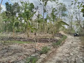 Dijual Tanah pekarangan