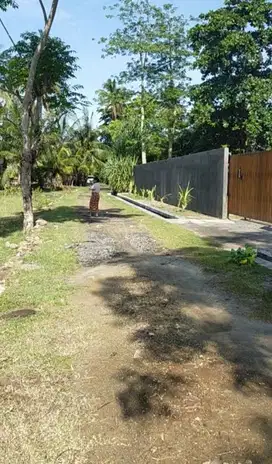 Di jual tanah di Selong belanak 20 are kawasan villa