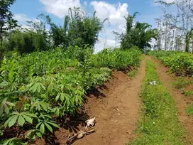 Tanah Siap Bangun Di Jl. Tempuran , Magelang