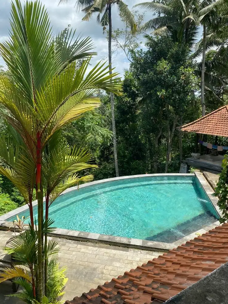 Dijual Cepat Villa Amanda Di Ubud, Bali