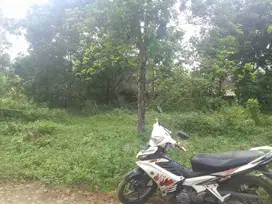 jual tanah kavling harga murah