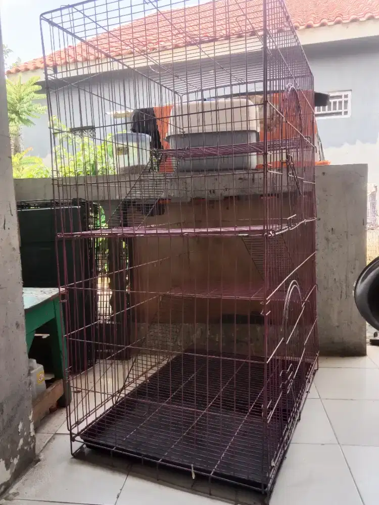 Kandang kucing tingkat jumbo keker