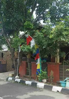 RUMAH LUAS DAN CANTIK DI JL PLAMONGAN PENI PEDURUNGAN PLAMONGANSARI  SEMARANG