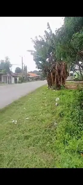 Tanah Pinggir jalan raya Korelet,Tigaraksa Tangerang