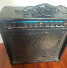 Ampli Gitar Plus gitar ( PRINCE & YAMAHA )