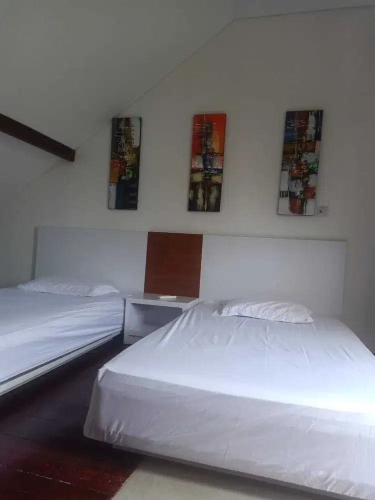 Disewakan Vila Pribadi Full Furnished Di Canggu Bali