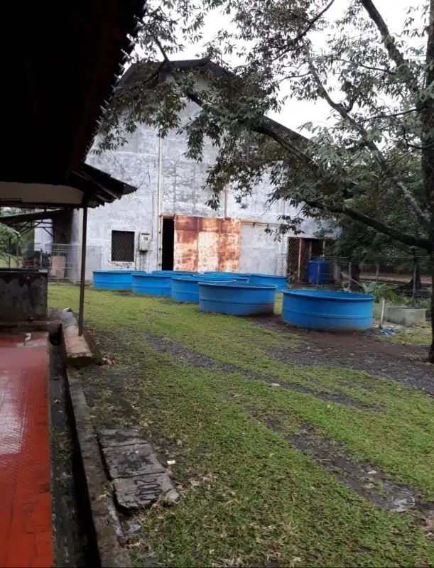 Dijual Gudang ex gudang  Lazada di cibubur