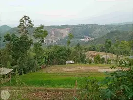 Jual Tanah Luas Cocok untuk Outbond Wisata atau Perkebunan di Soreang
