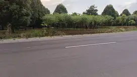 Tanah di jalan baru Cipari Cisantana Kuningan Jawa Barat