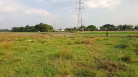 Tanah Sawah 400rb an Cepu Kabupaten Blora