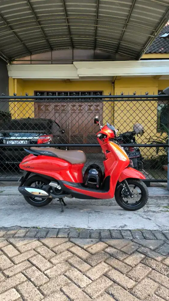 Grand Filano 2024