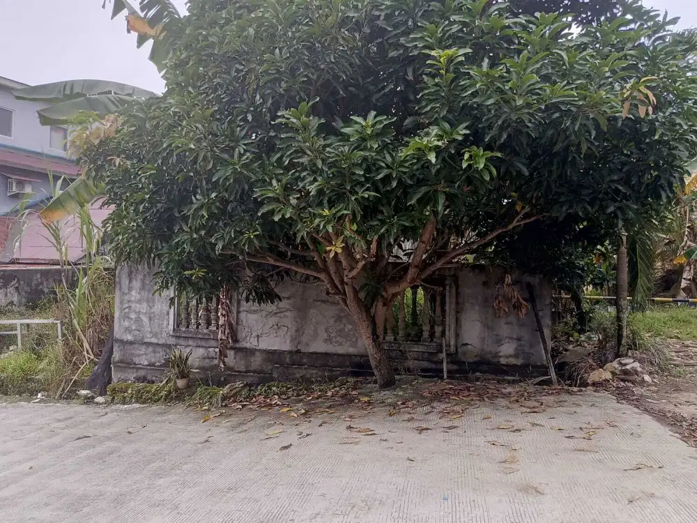 DIJUAL TANAH DEPAN JALAN PERUMAHAN BDS 2