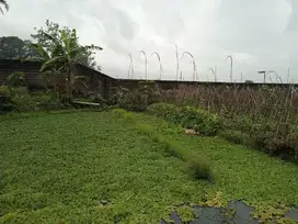 Dijual Tanah Kebun produktif di Ciawi Bogor