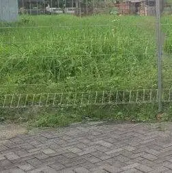 CIAMIK Tanah SIAP Bangun Dharmahusada Indah Harga NEGO Tipis