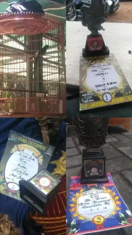 Muray batu prestasi