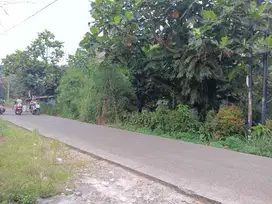 Tanah cocok untuk Perumahan di Citayam, Tajur Halang