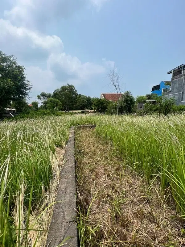 cocok di bngun villa pribadi atau rumah