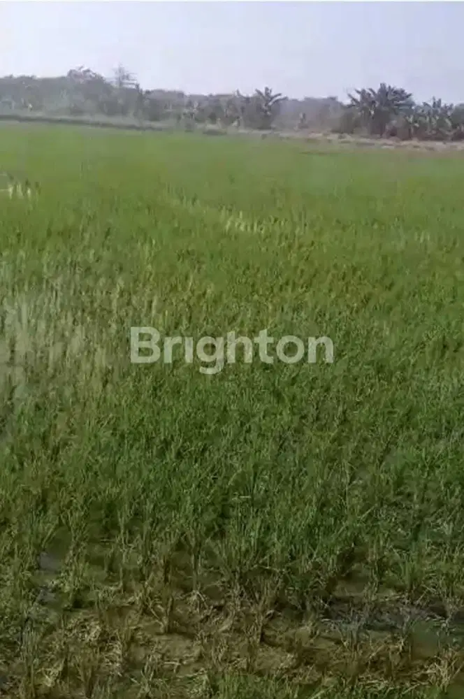 DI JUAL BANTING HARGA BUTUH CEPAT LAKU LINGKAR TIMUR dkt gedangan waru