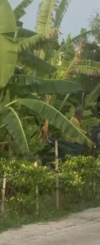 kawasan villa dan lingkungan bersih