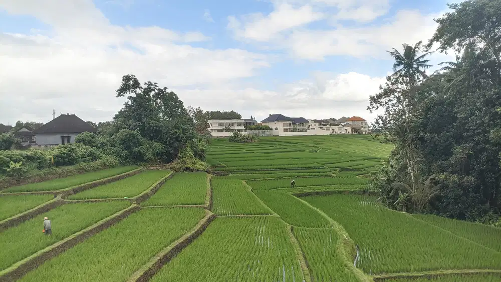 Jual tanah murah di munggu lingkungan villa