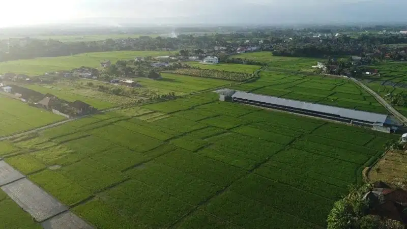 Tanah View Sawah & Gunung Pantai Kedungu Kediri Tabanan Bali