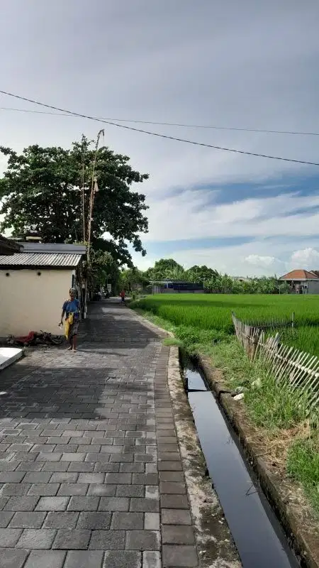 jual tanah murah Banjar pitik Denpasar barat