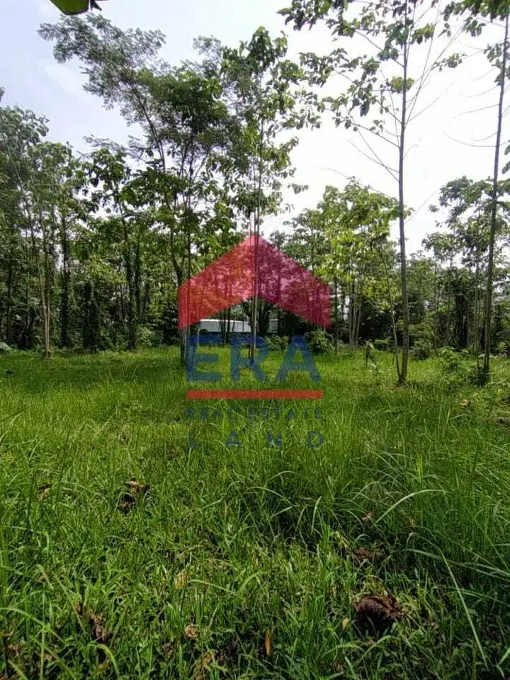 Dijual Tanah di Jalan K.H Malik, Kedungkandang Malang