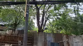 DIJUAL LAHAN KOSONG KAWASAN DAAN MOGOT LOKASI STRATEGIS