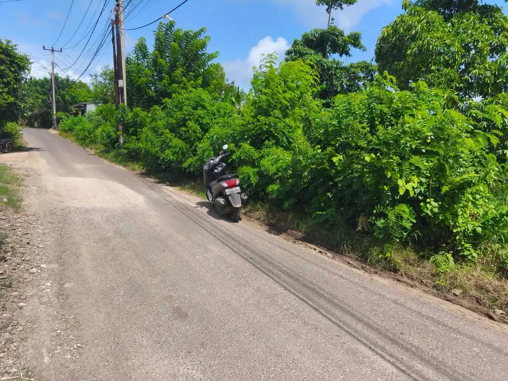 Di jual tanah murah Kuta Selatan - kutuh