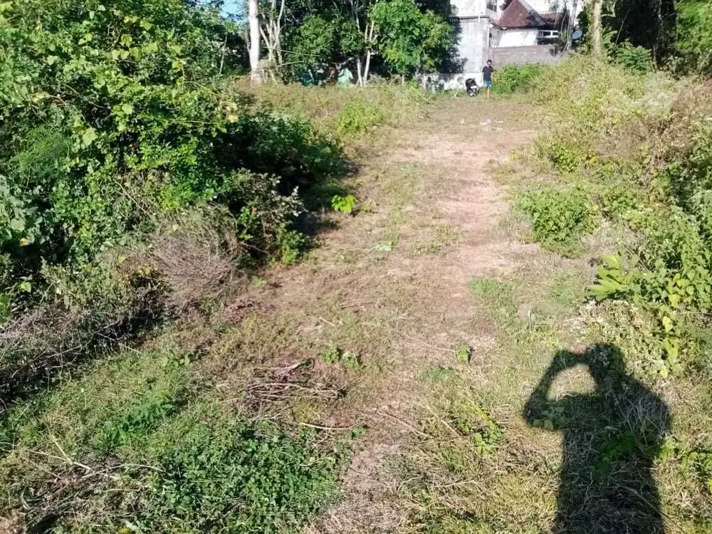 Murah tanahbdekat kampus udayana